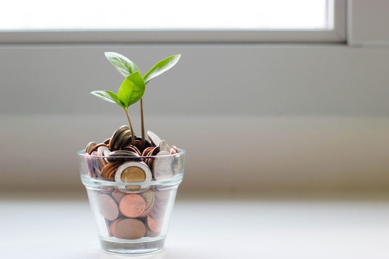a glass of coins and a plant on the table